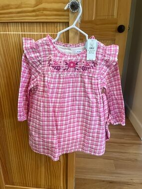 GAP Pink Plaid Ruffle Shoulder Dress with Floral Embroidery 12-18 months